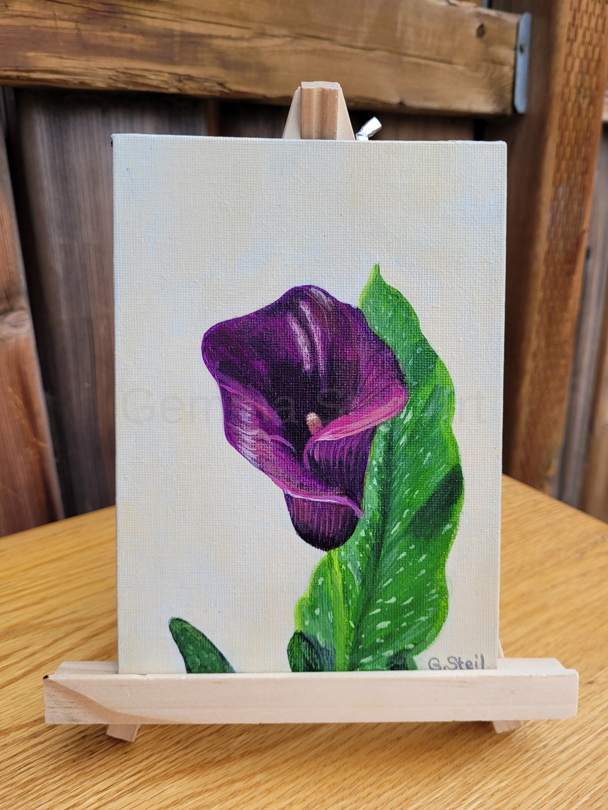 Calla's Charm