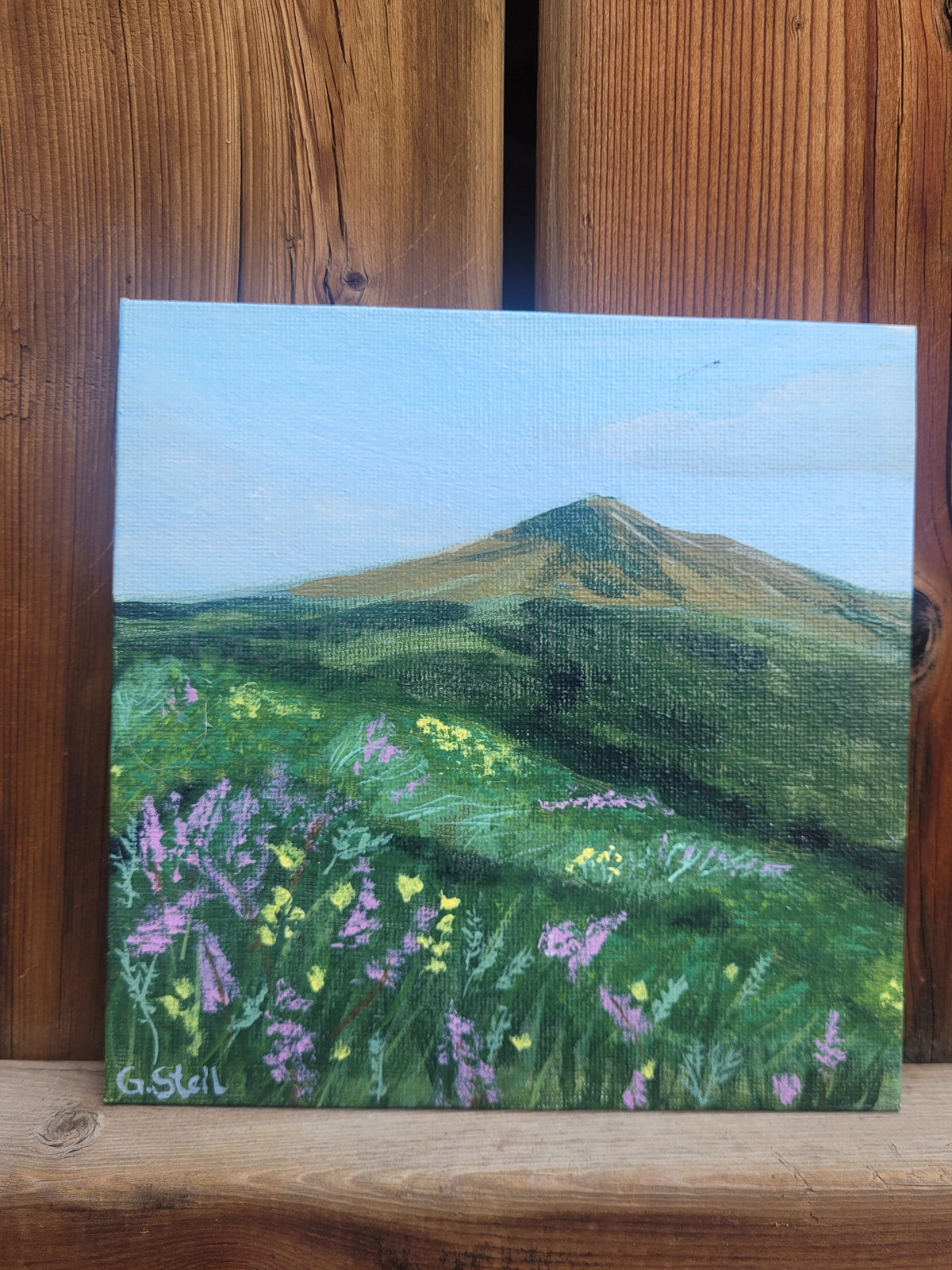 Where Wildflowers Dance