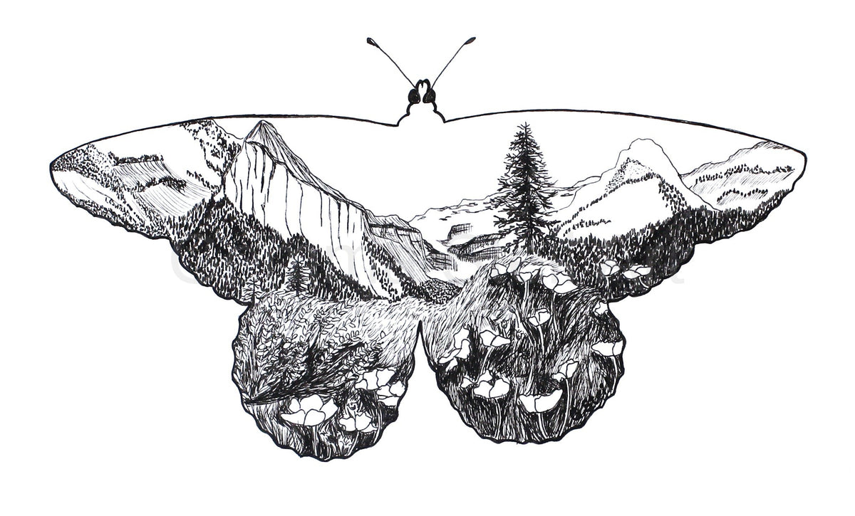 Wings of Wilderness