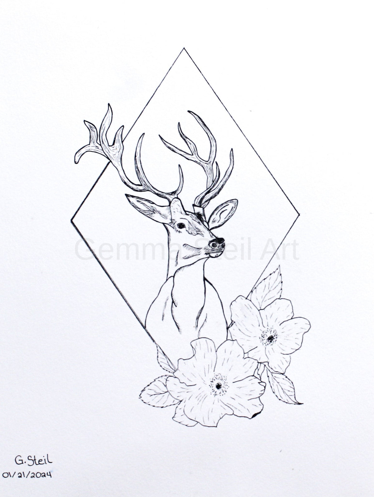 Wild Rose Stag