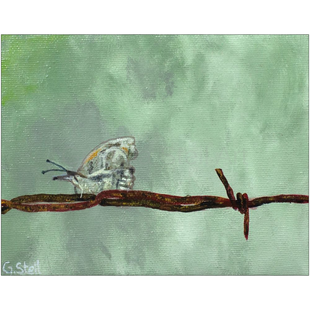Print-Lustre-11x14-20260831223735948