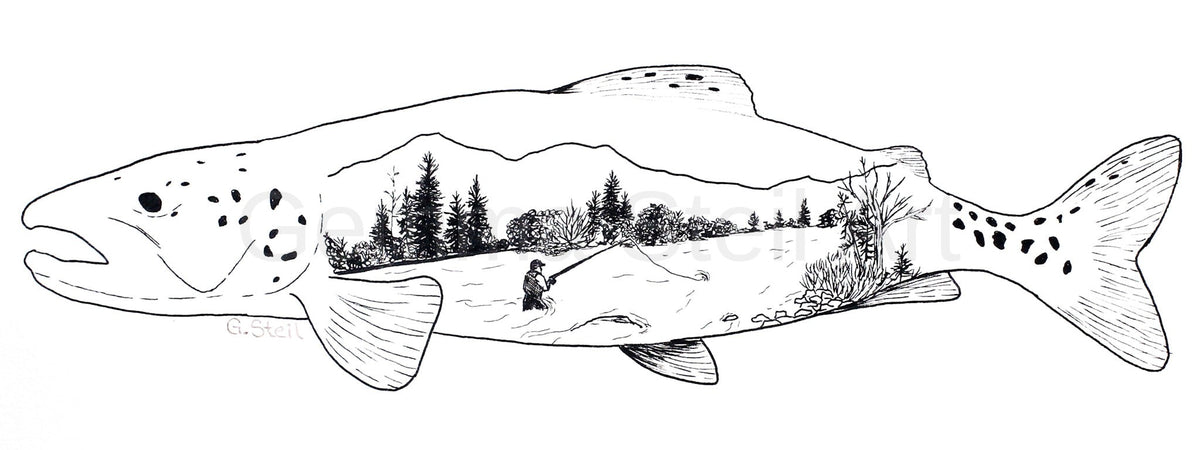 A Fish's Tale