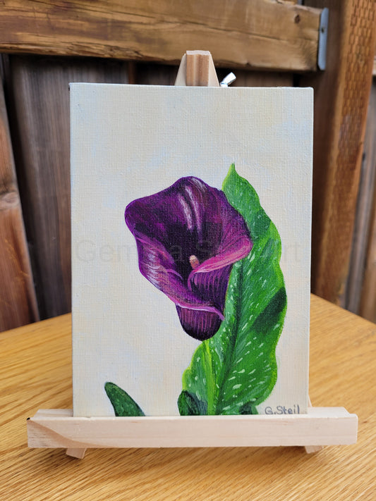 Calla's Charm