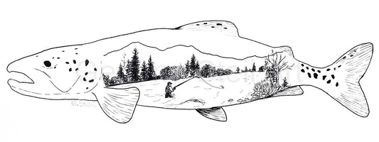 A Fish's Tale